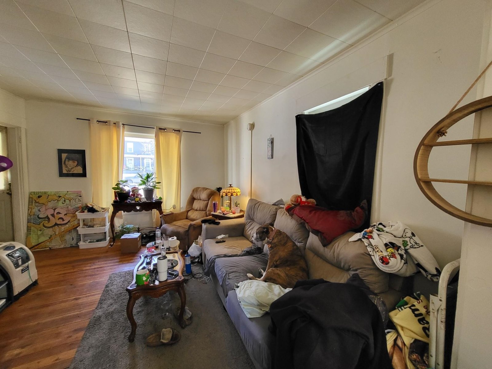Cape Living Room