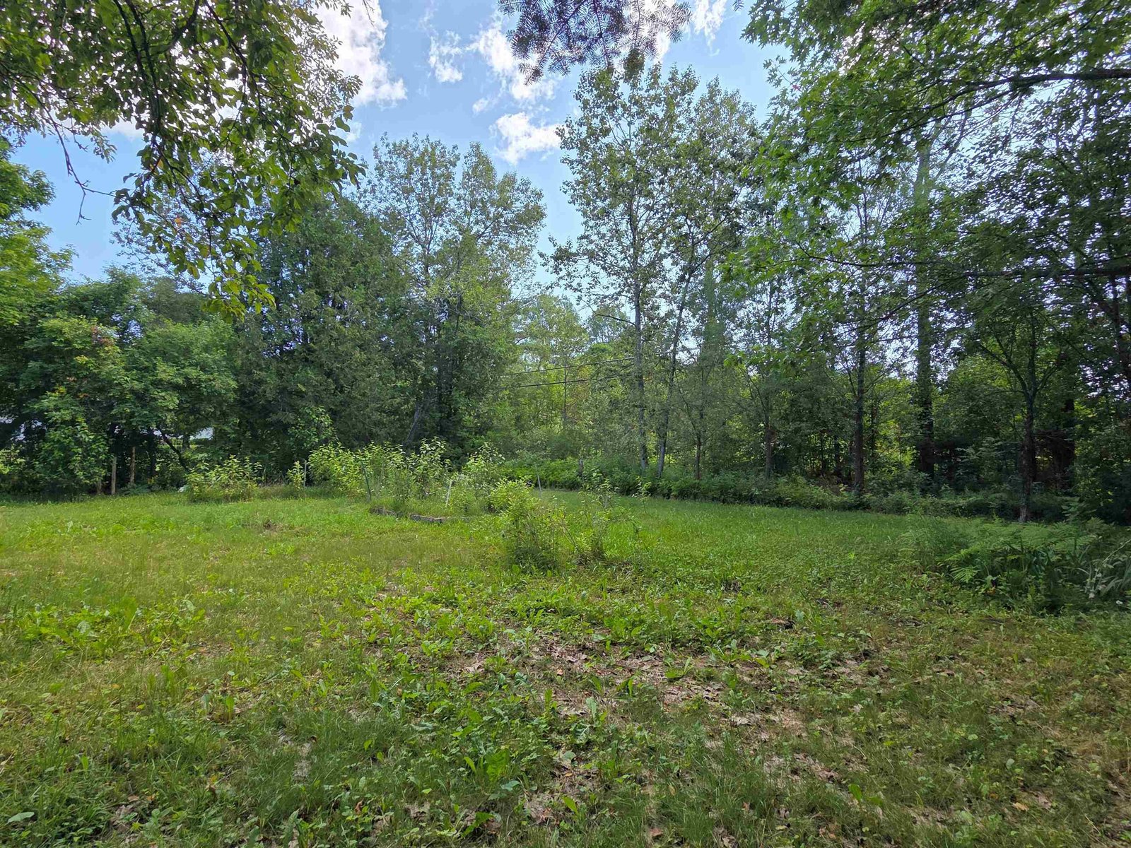 76 Harveys Hollow Road