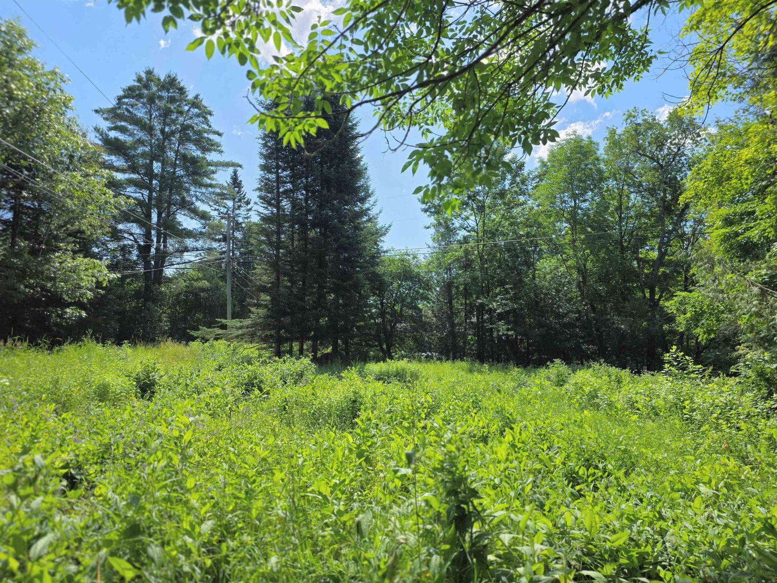 76 Harveys Hollow Road
