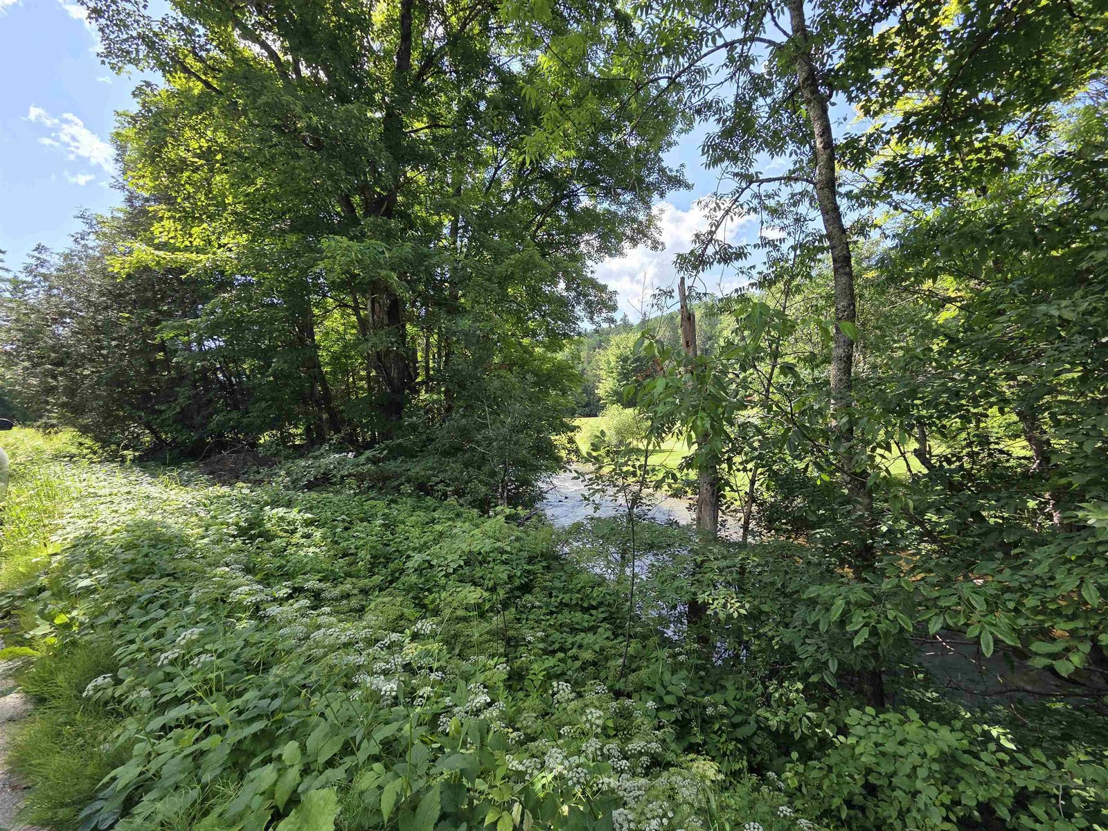 76 Harveys Hollow Road