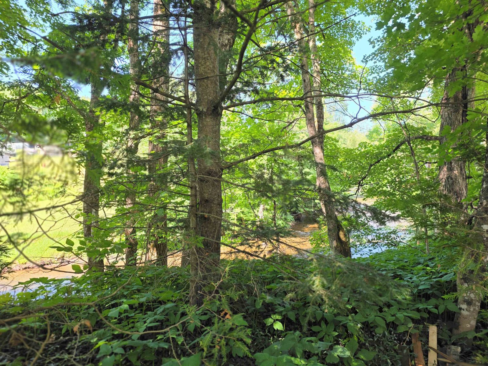 76 Harveys Hollow Road
