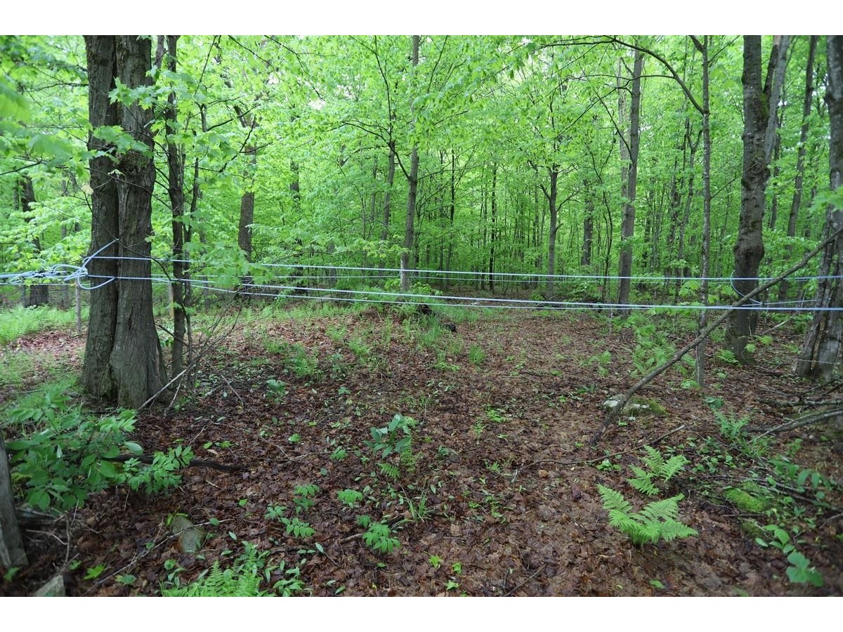Sugaring Operation/Trails