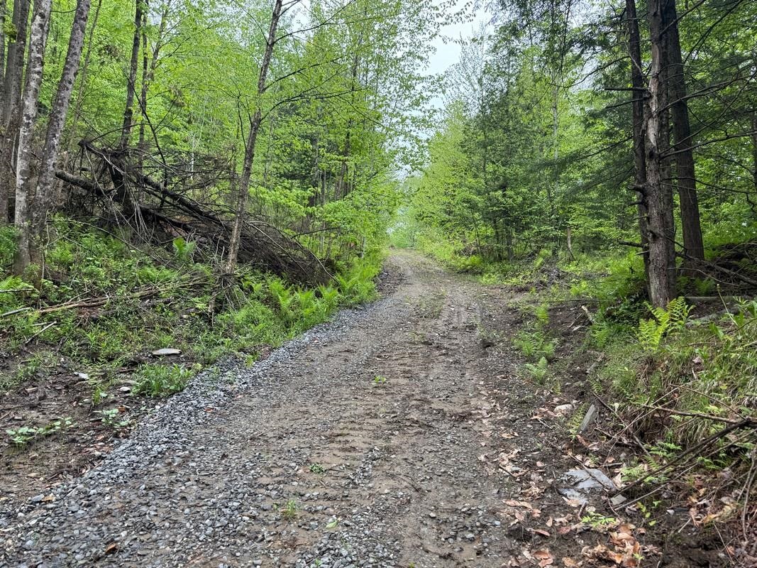 Trails
