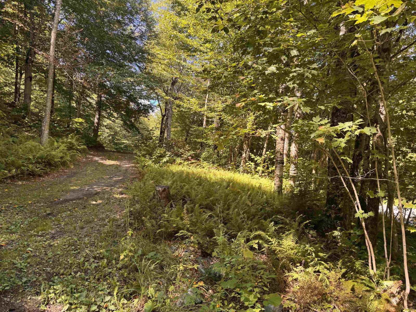7601 Vermont Rt 105