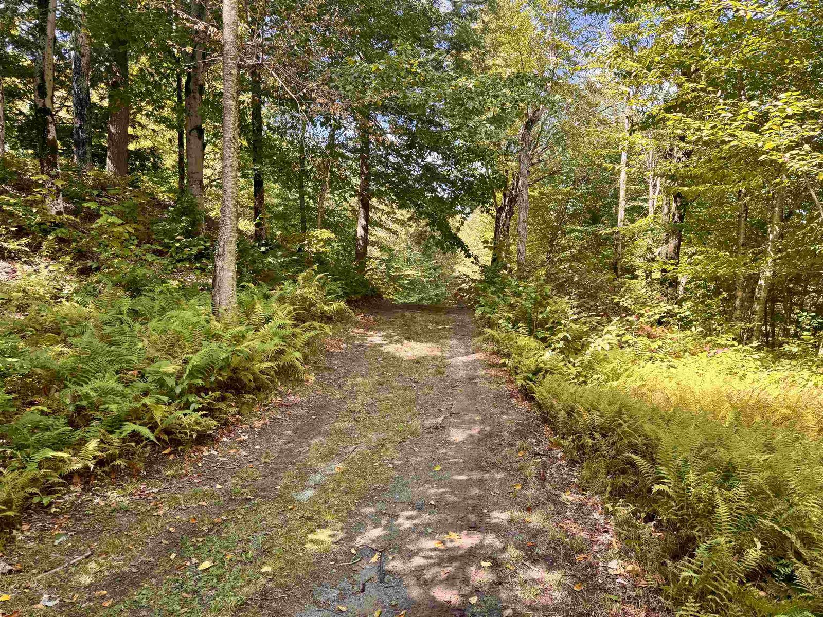 Path to the 