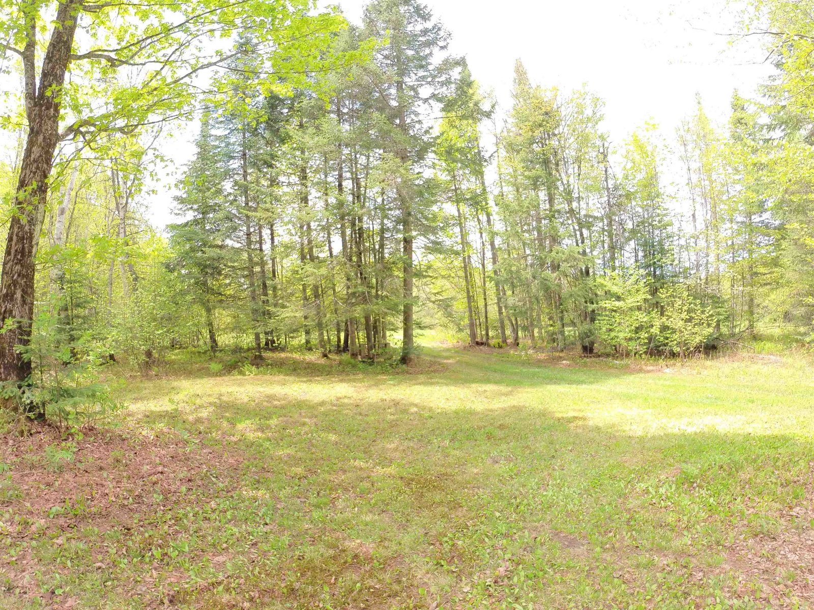 763 Hunting Camp Road