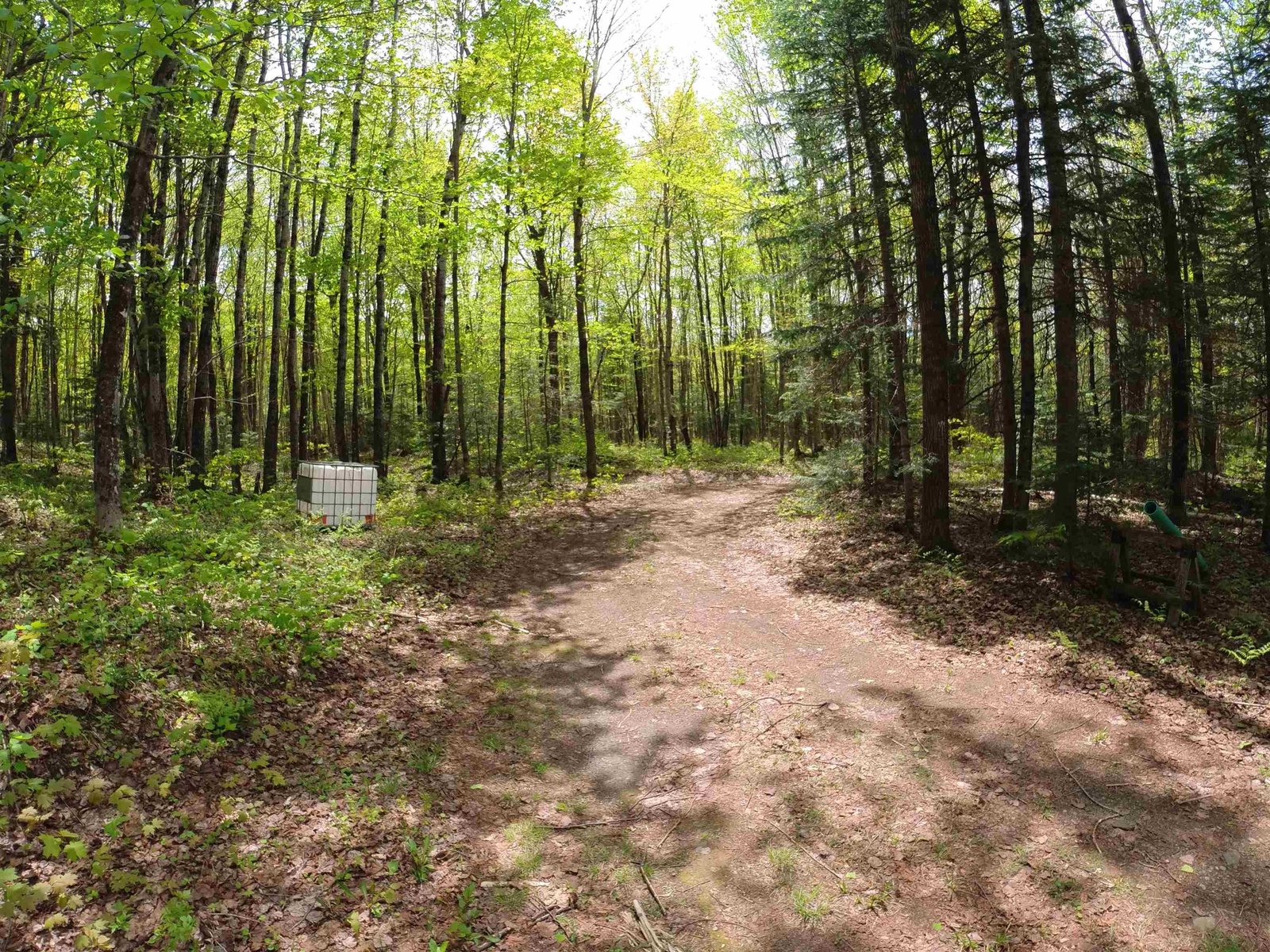 763 Hunting Camp Road