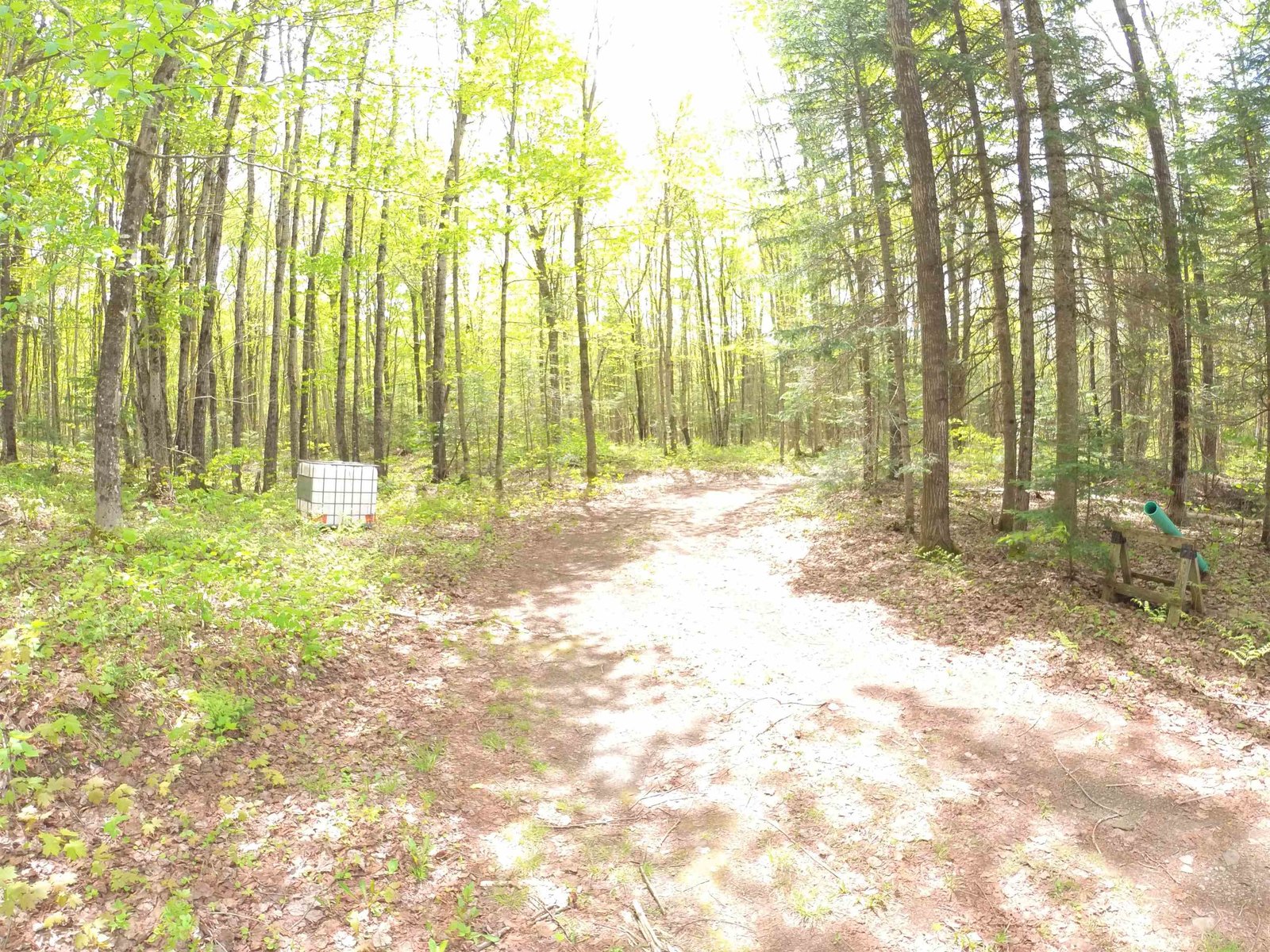 763 Hunting Camp Road