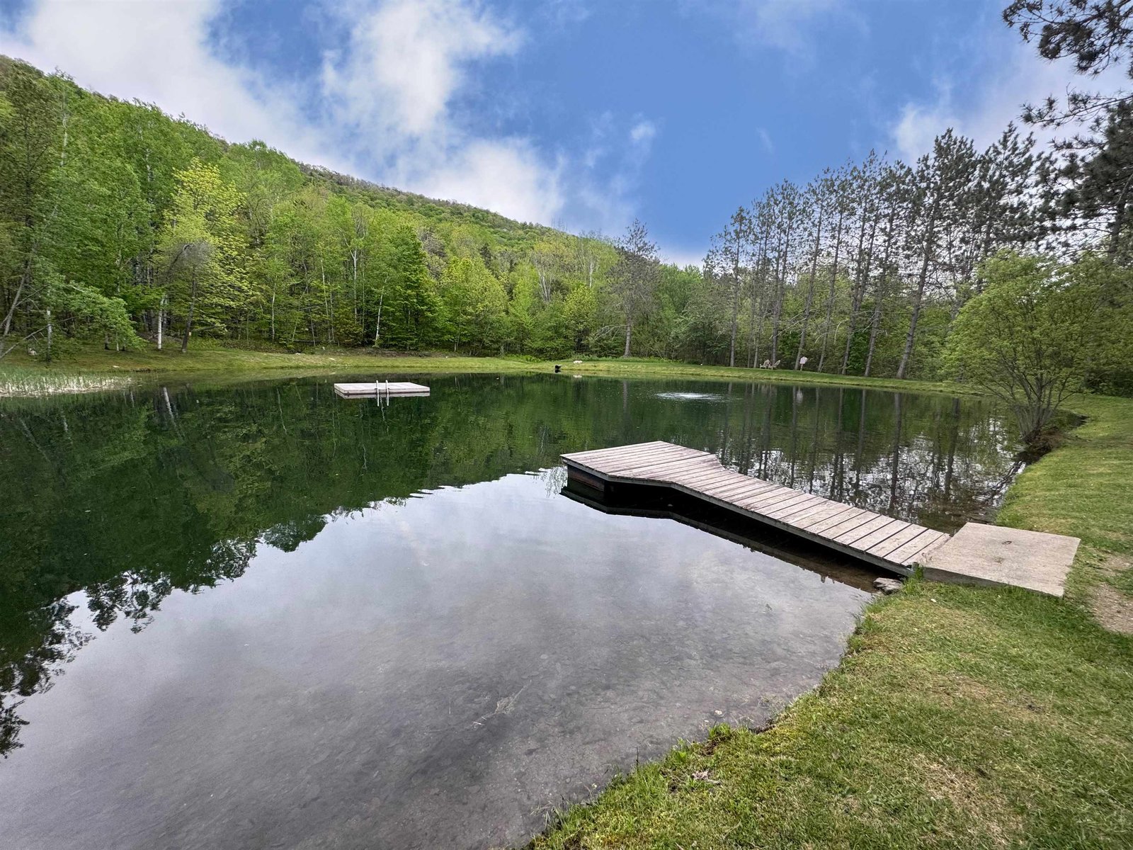 Neighborhood swimming pond