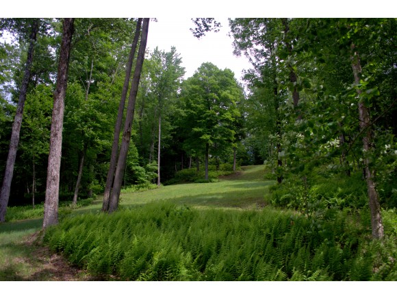 765 (lot6) Needles Eye Road
