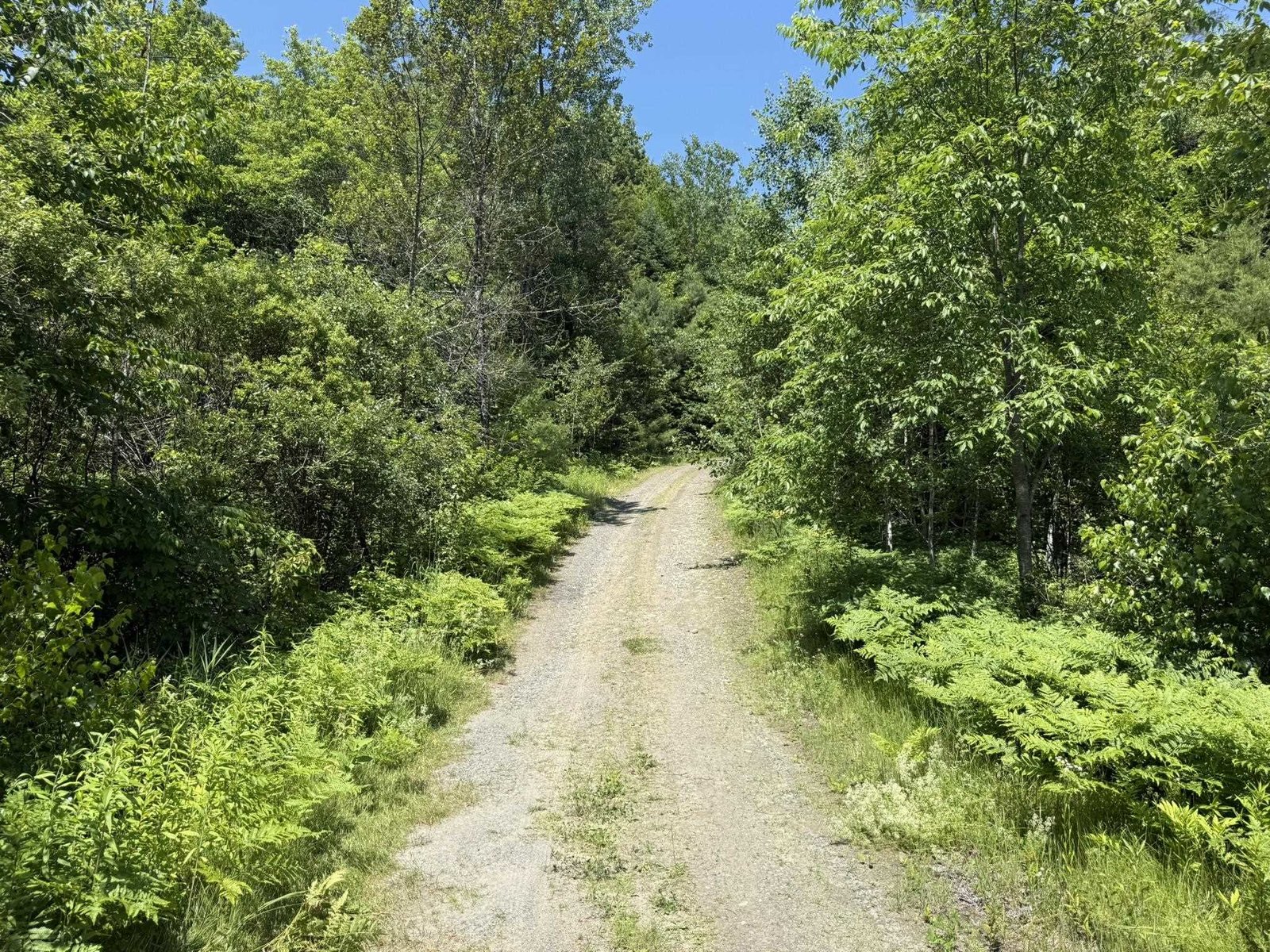 7657 VT RT 14