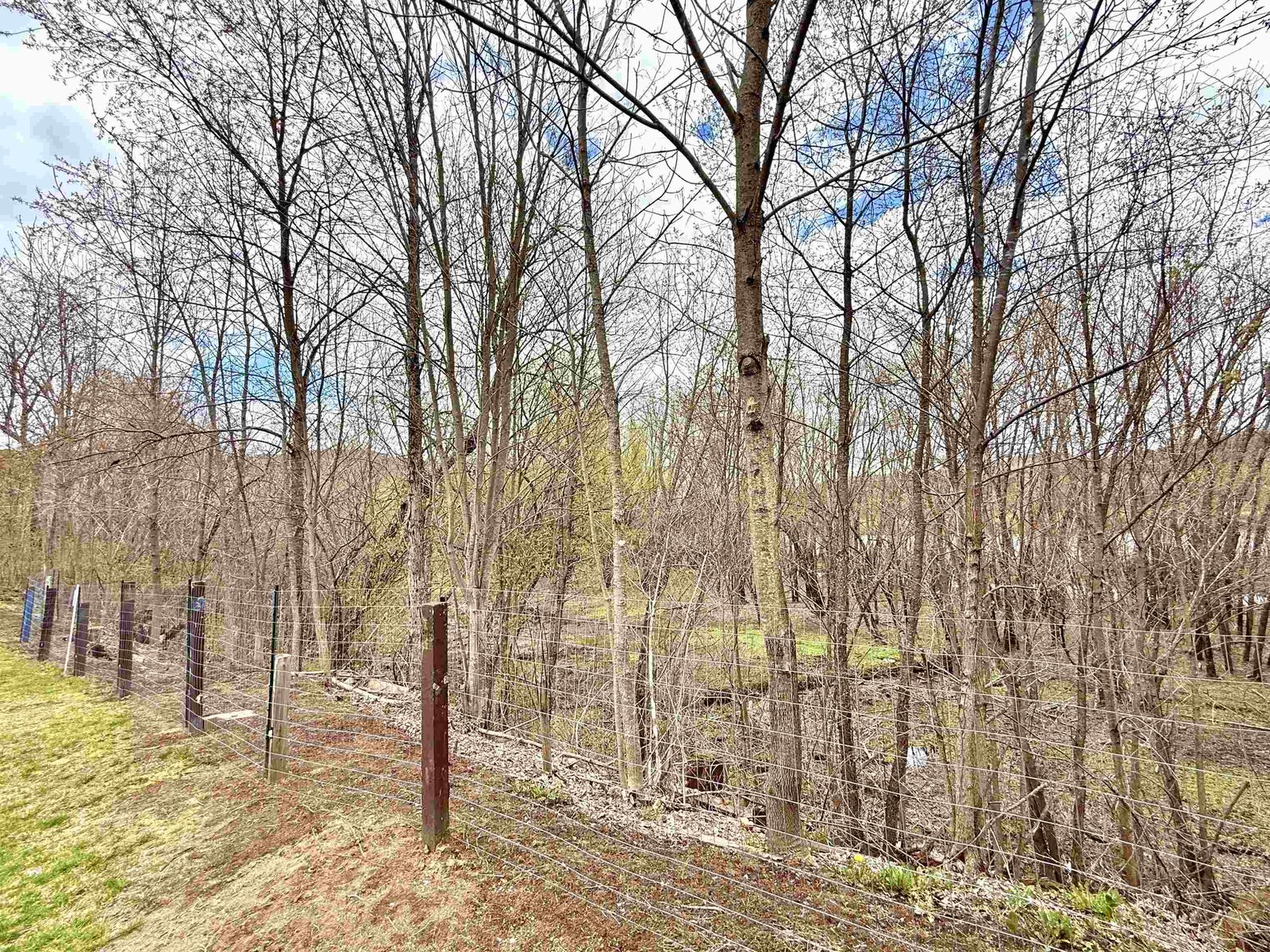 Fenced-In Back Yard