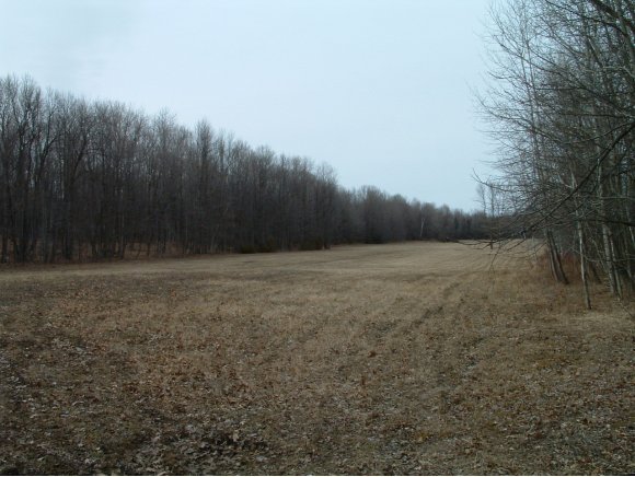 77 East Shore Rd