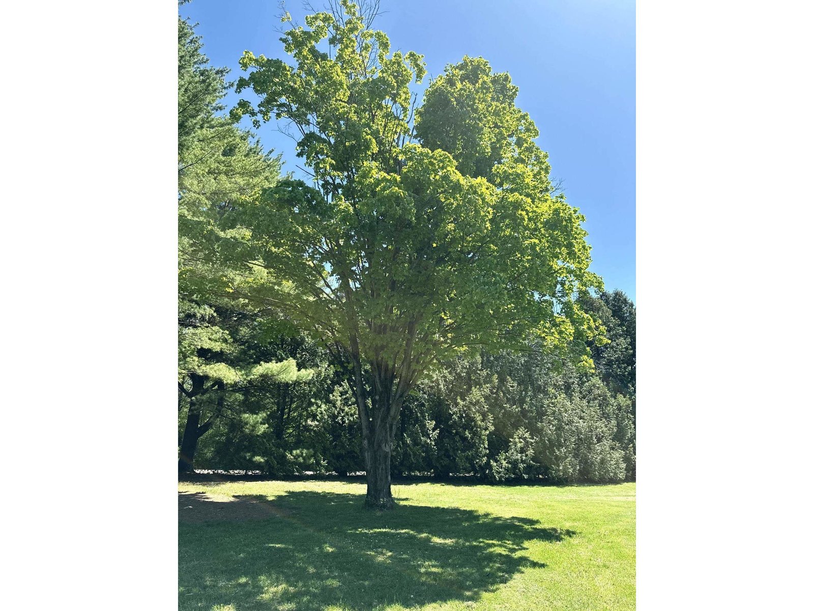 77 Lynrick Acres Road