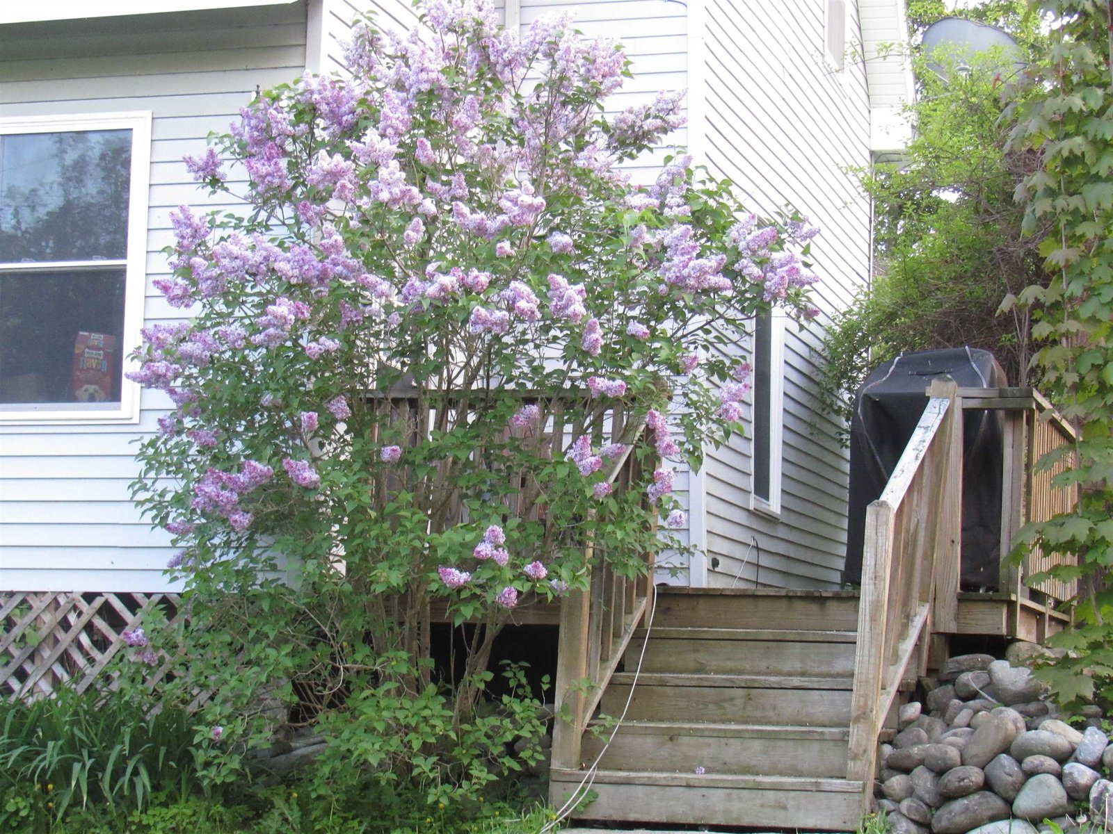 Deck to Porch Enrty