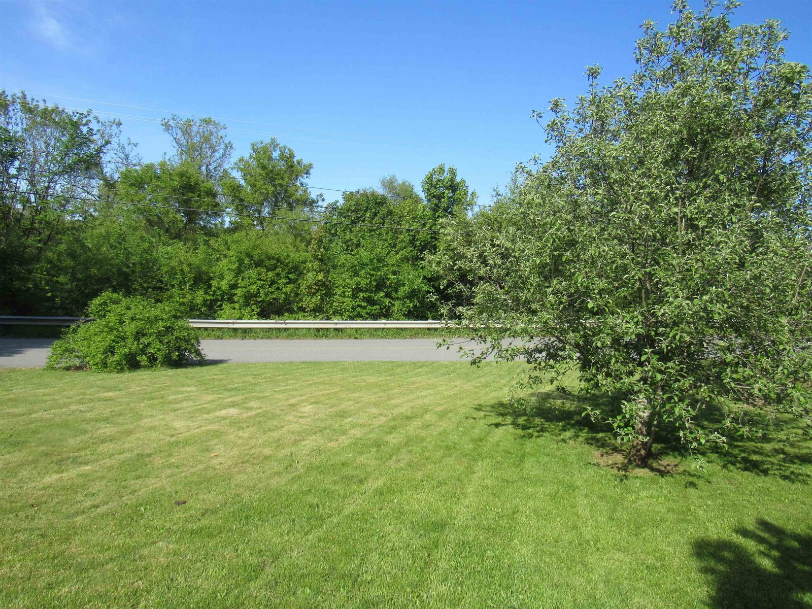 Great Front Yard