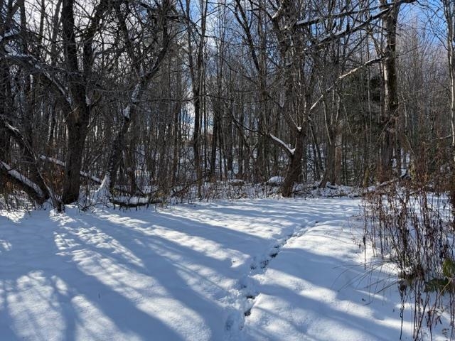 77 Wyman Road