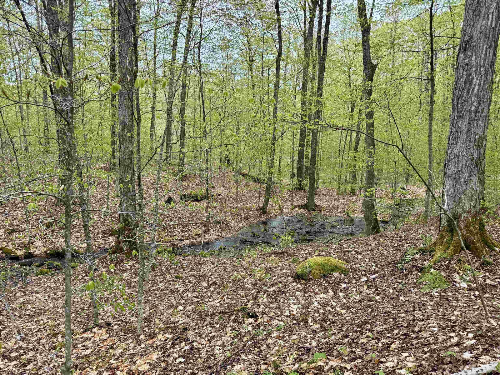 770 Pope Brook Road