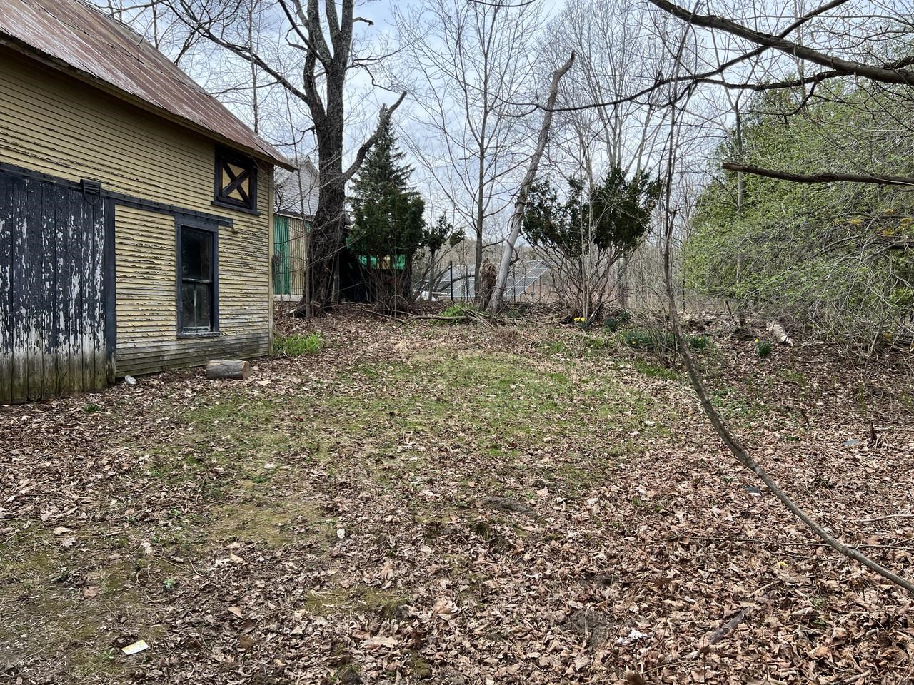 View from Driveway