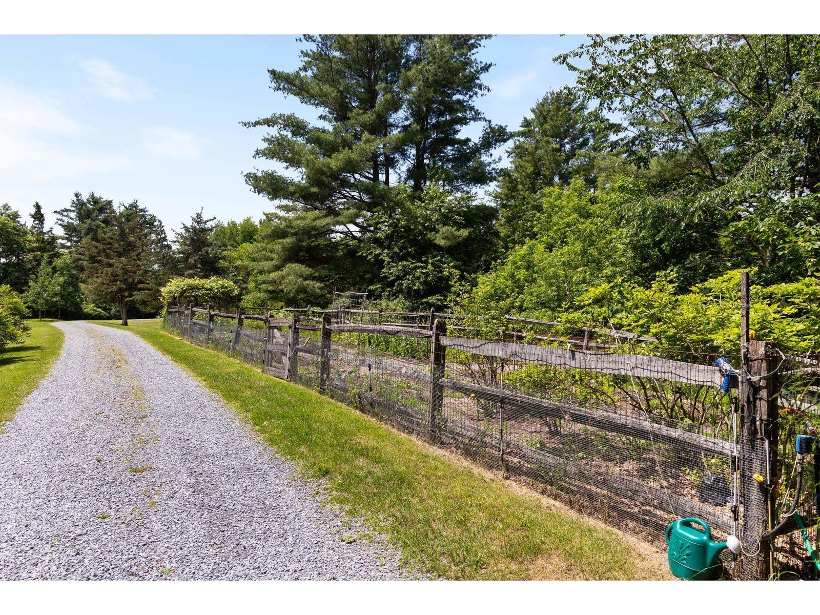 777 Mount Philo Road