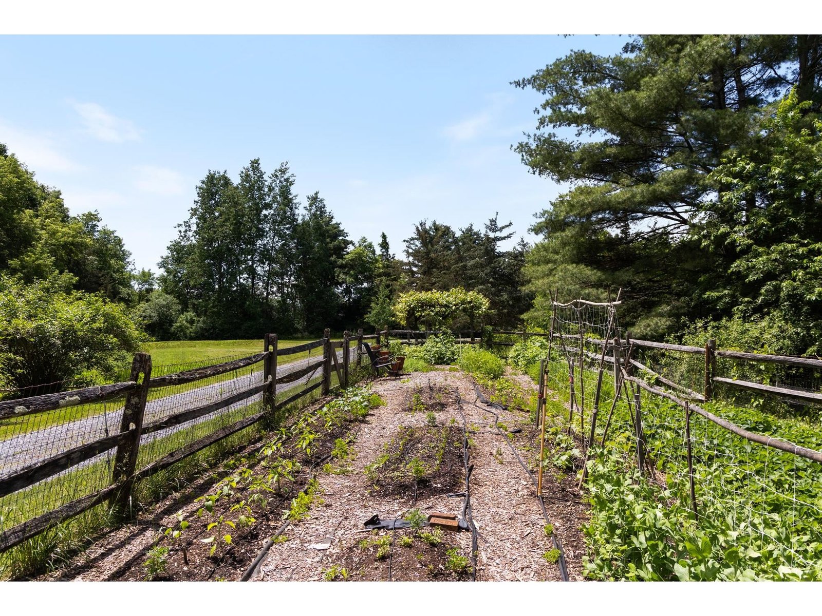 777 Mount Philo Road