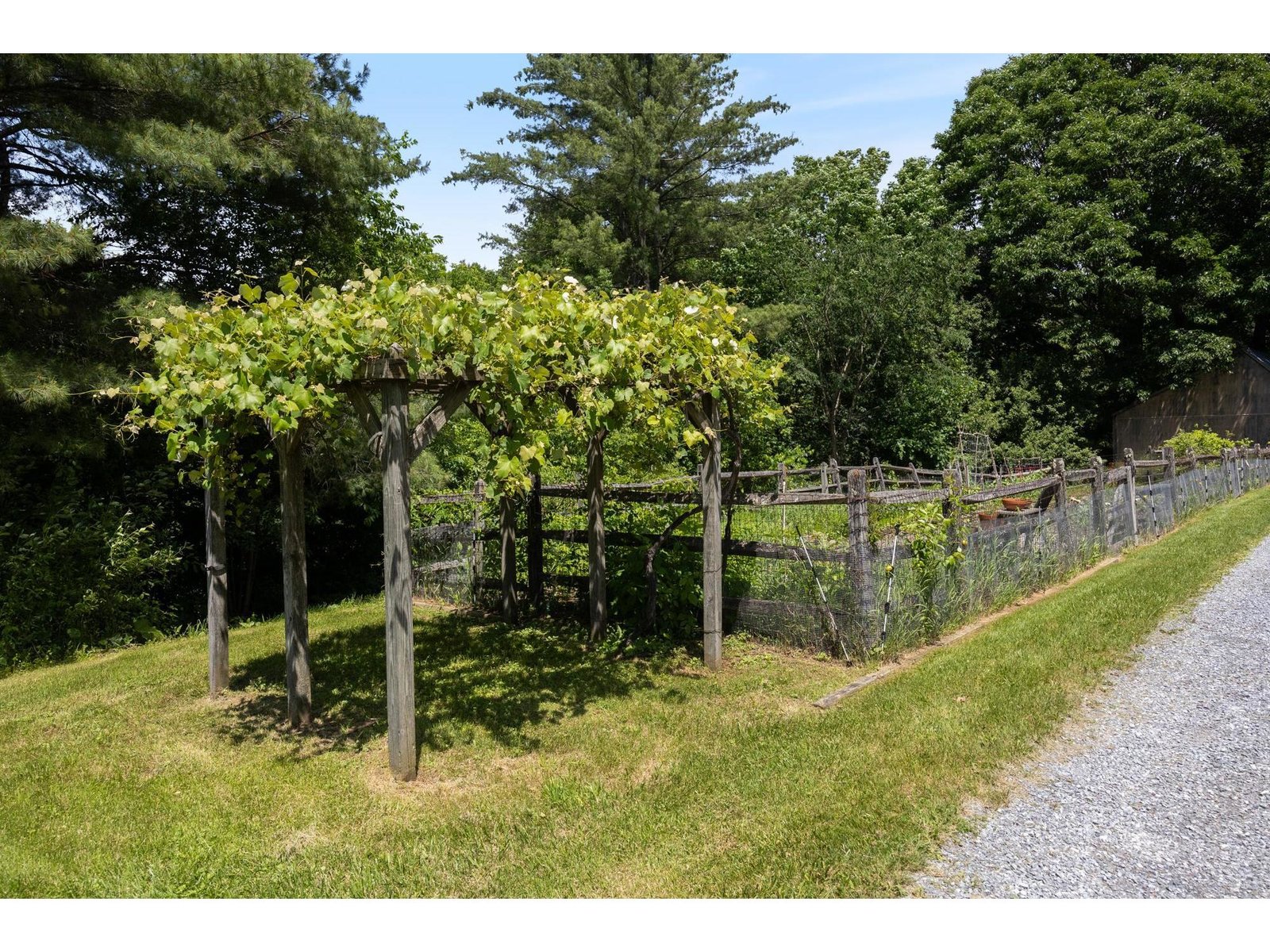 777 Mount Philo Road
