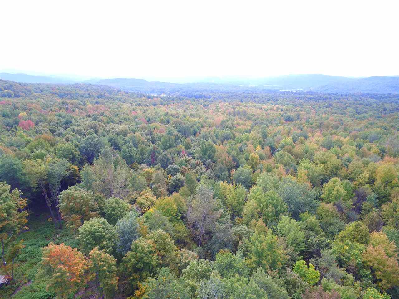 78 Evergreen Lane