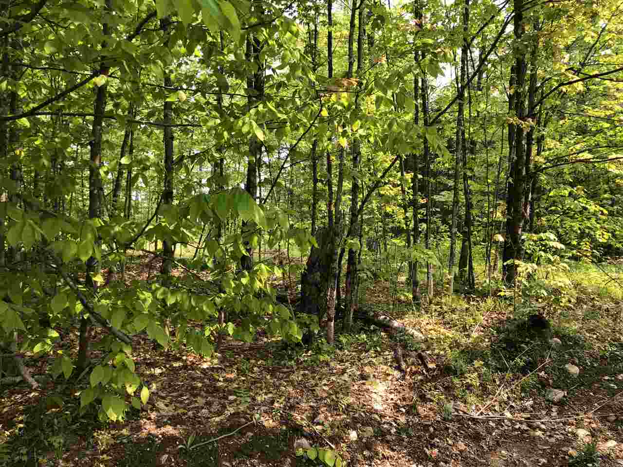 784 Thompson Hill Road