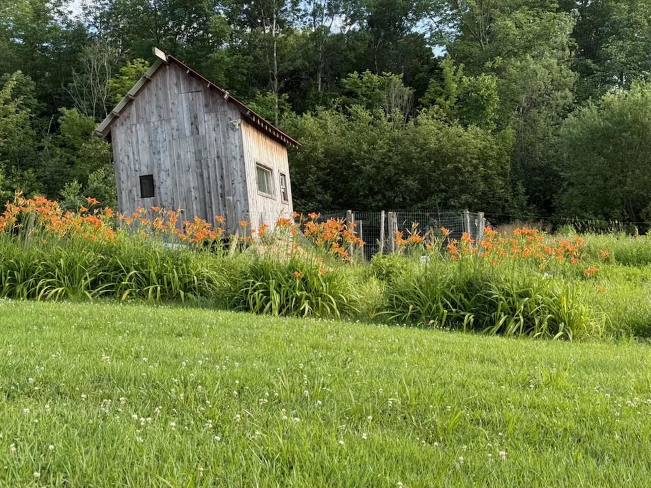 785 Duffy Hill Road