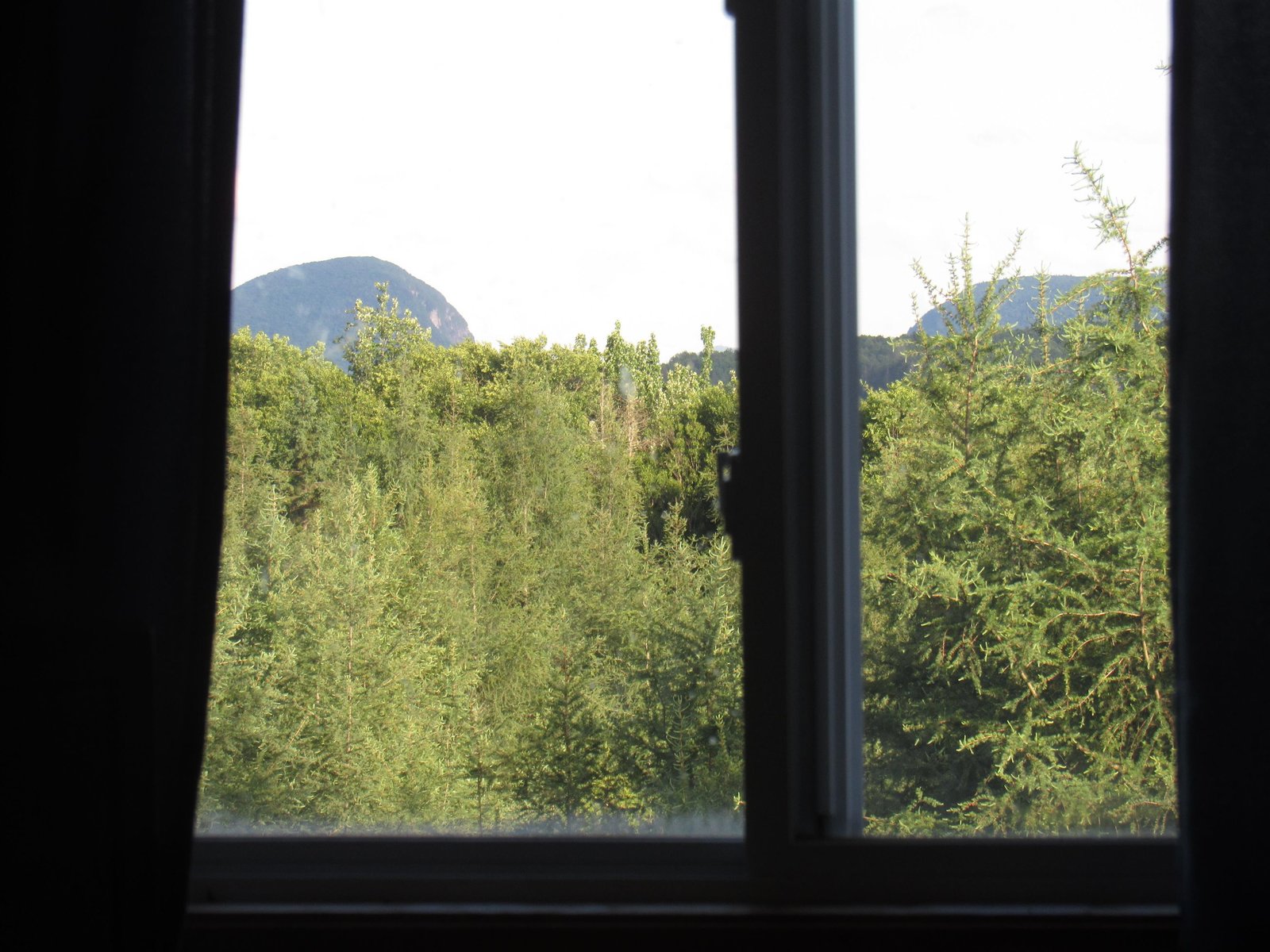 Views from Unit 2, Level 2Living Room