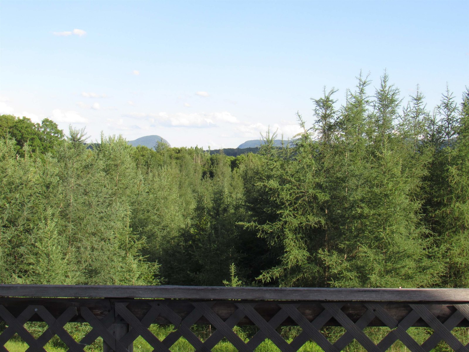 View from Deck Units 1 and 2