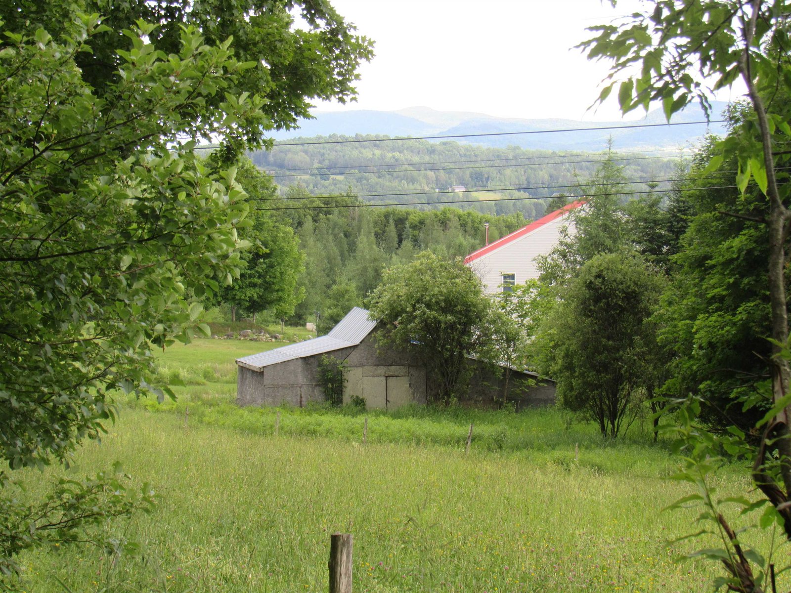 Country Setting