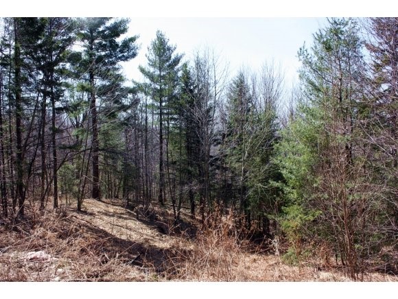 788 Flora White Rd