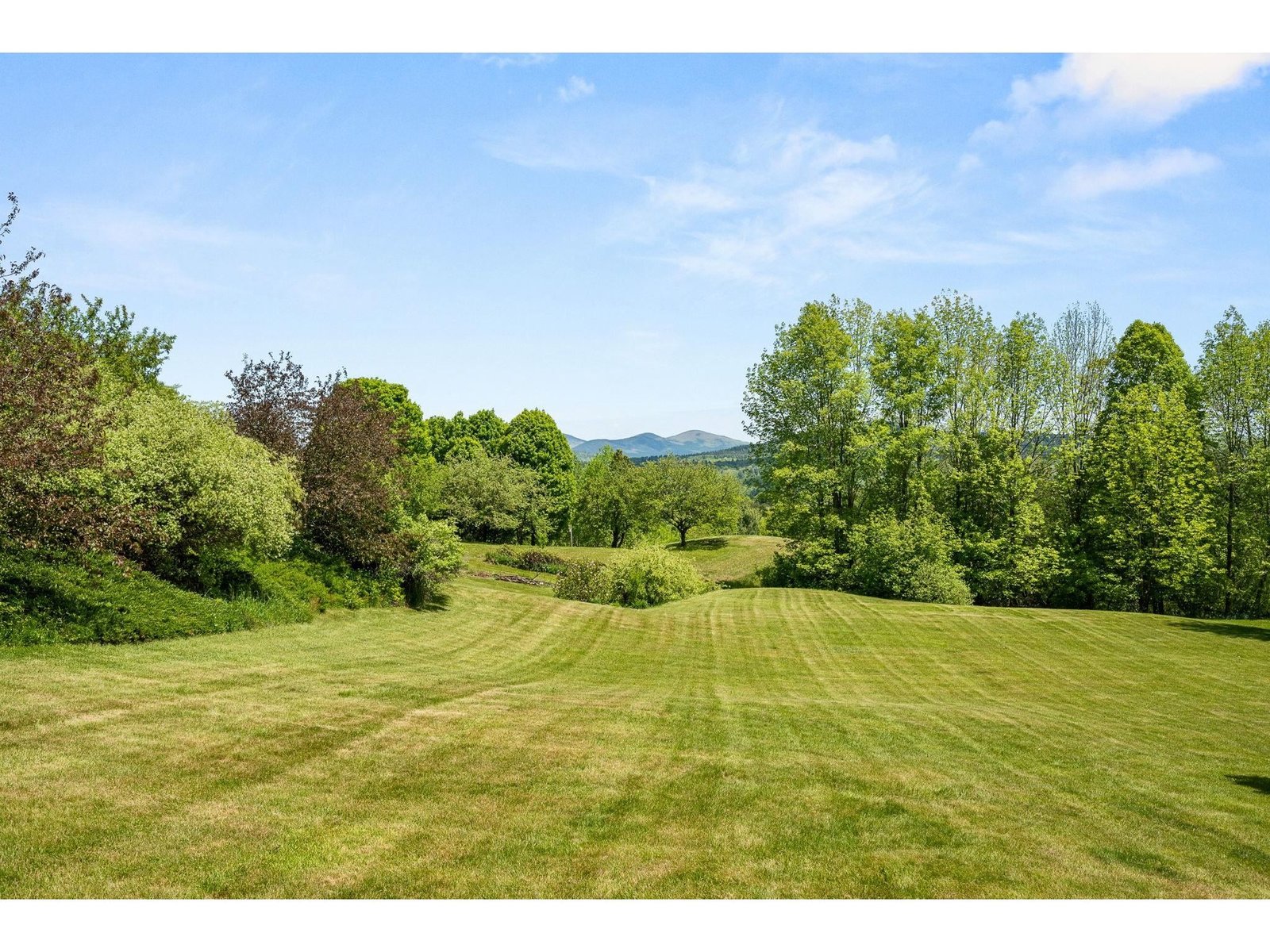 79 Apple Blossom Road