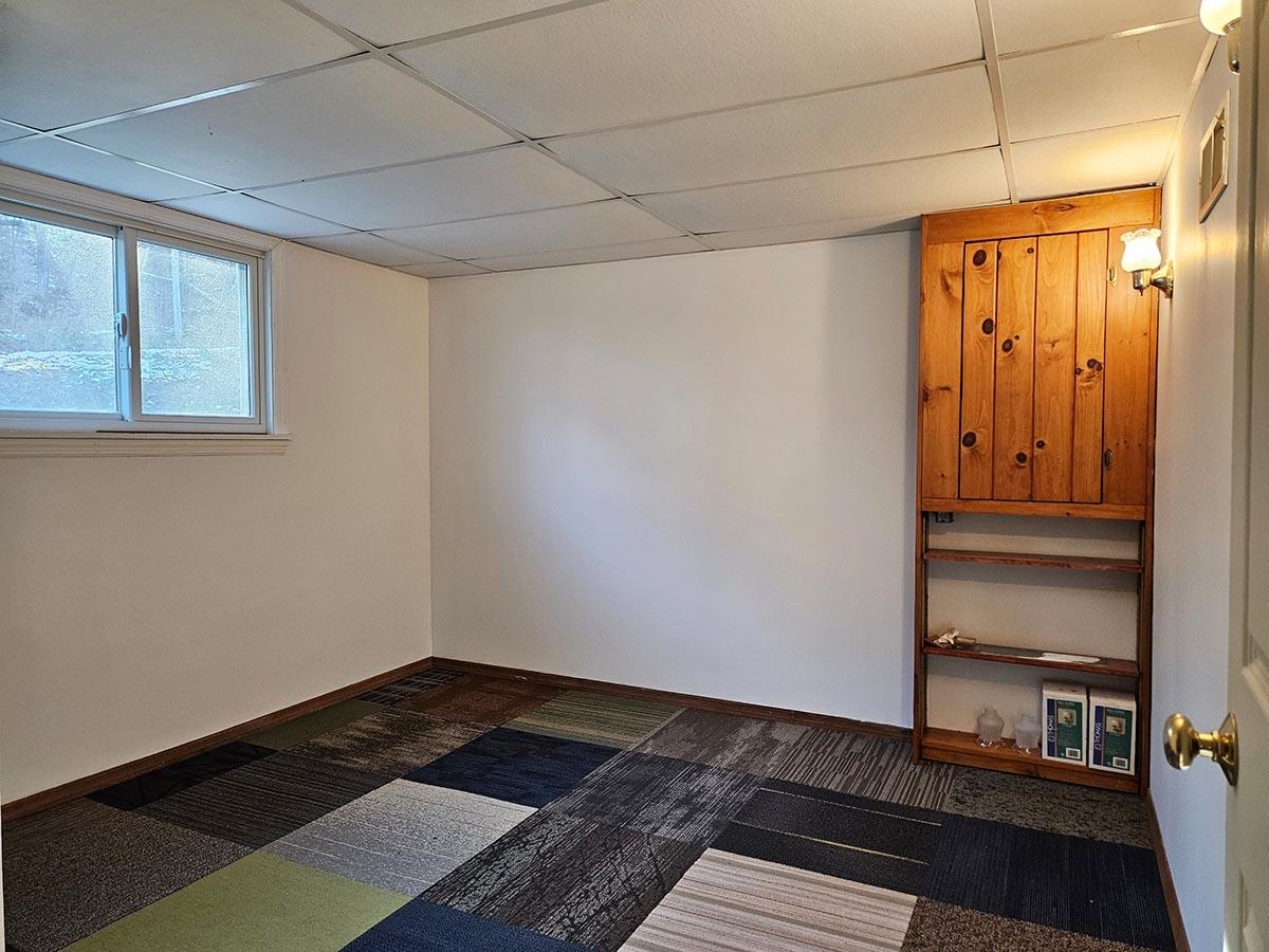 Basement Bonus Room/Office
