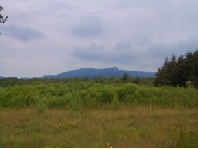 8 Edson Hill Manor Rd