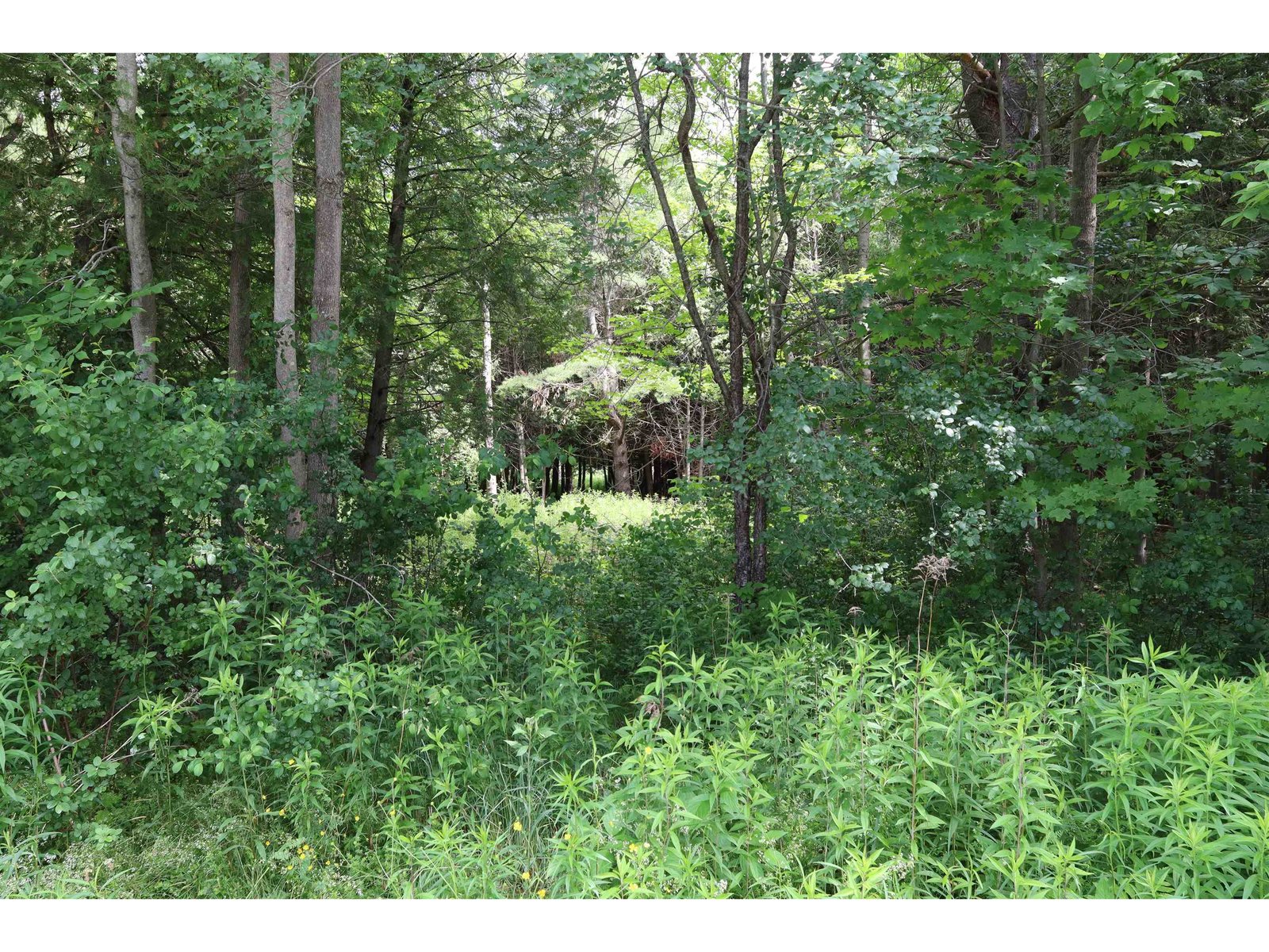 8 Goldsbury Woods Road