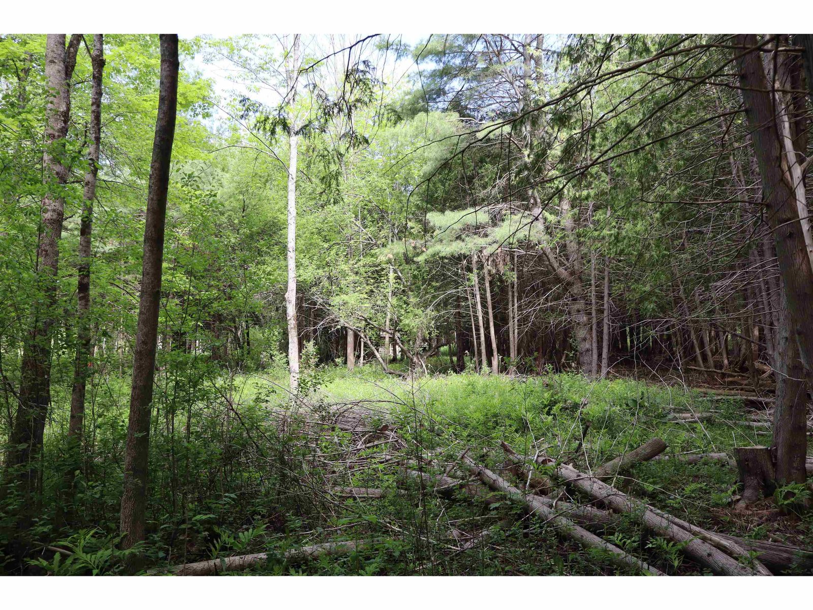 8 Goldsbury Woods Road