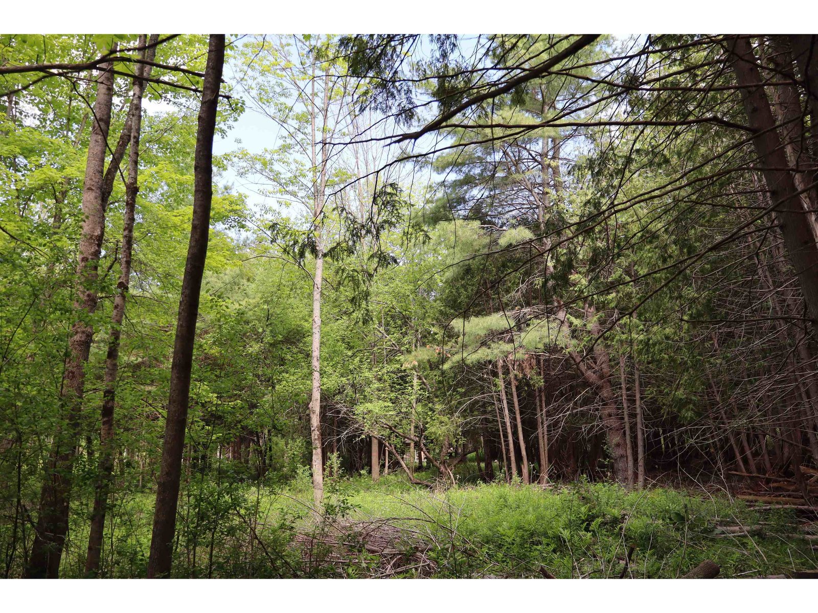 8 Goldsbury Woods Road