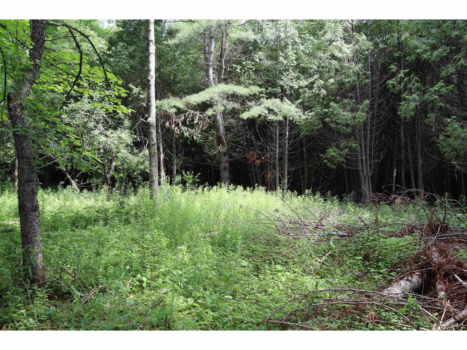 8 Goldsbury Woods Road