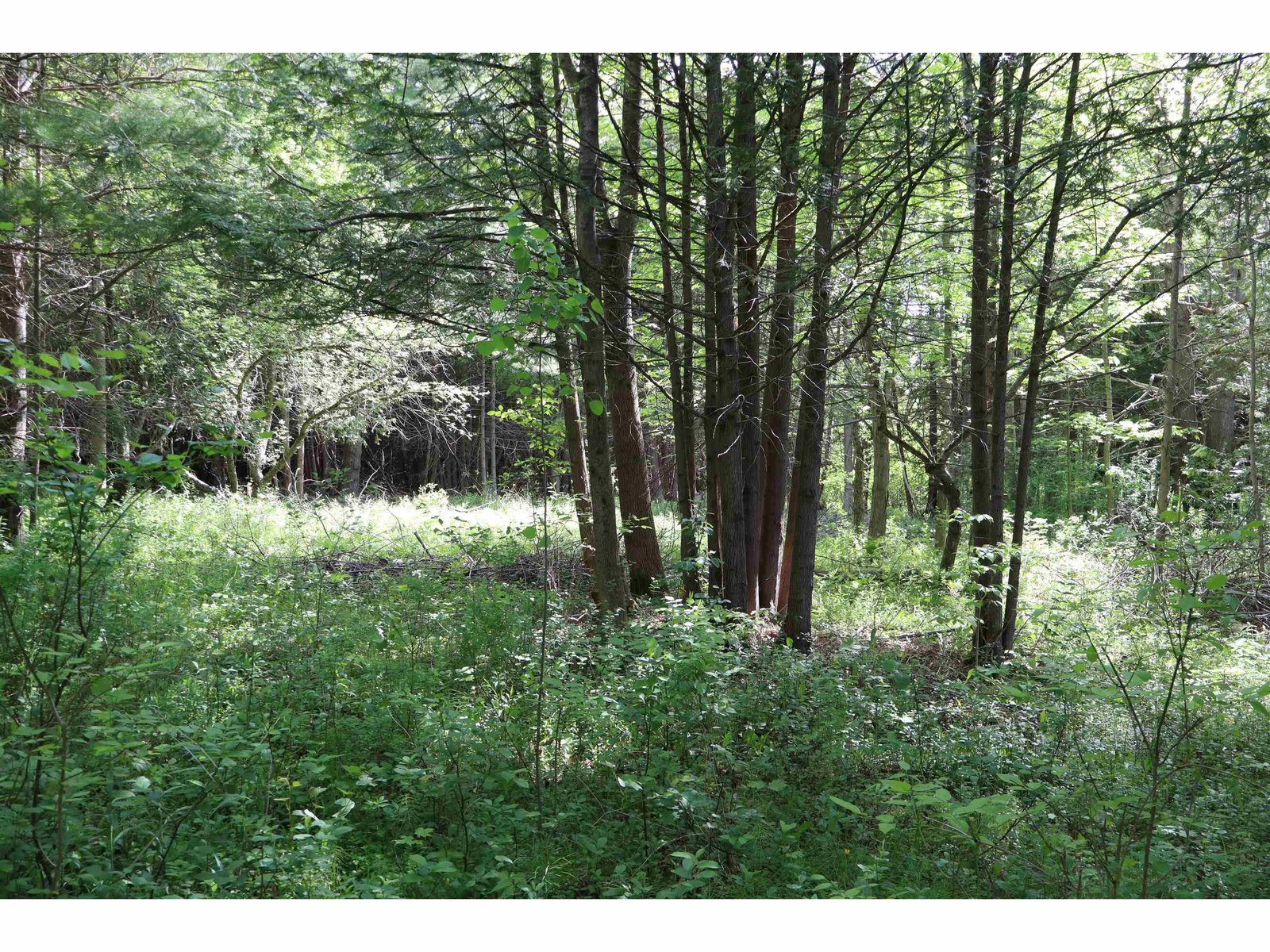 8 Goldsbury Woods Road
