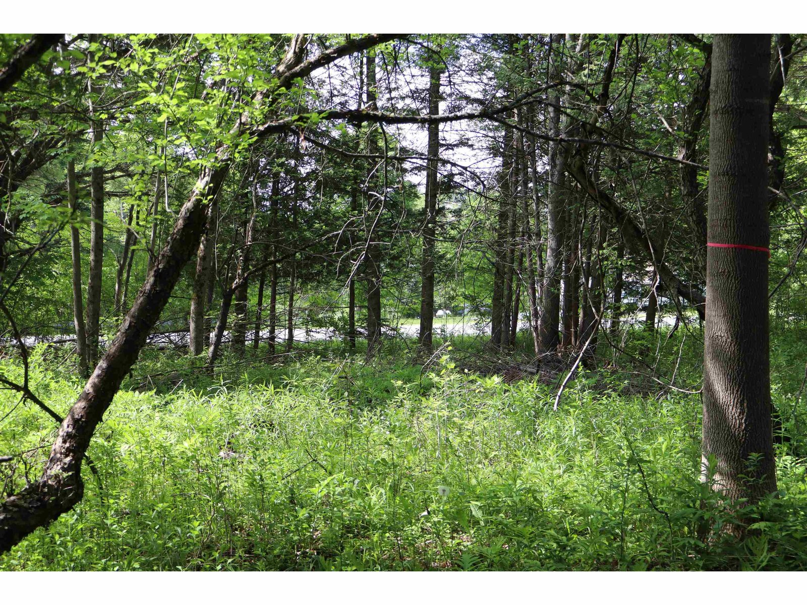 8 Goldsbury Woods Road