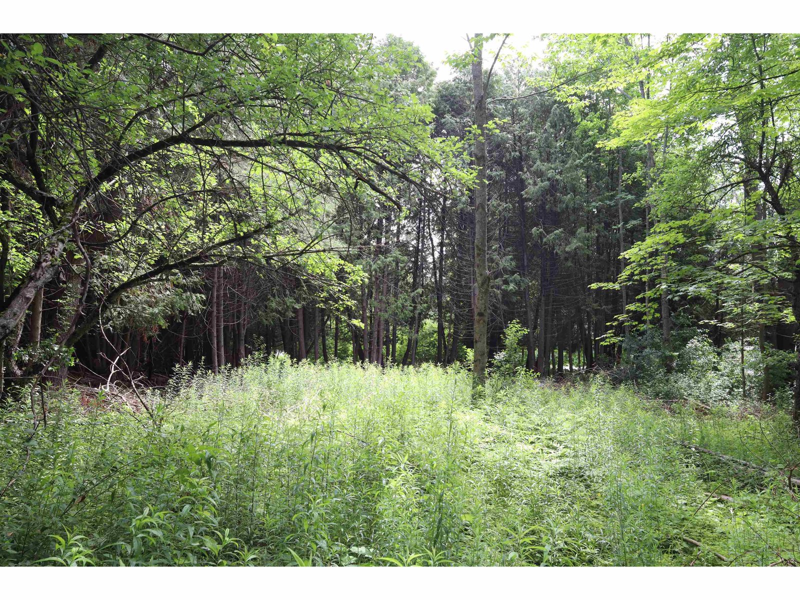 8 Goldsbury Woods Road
