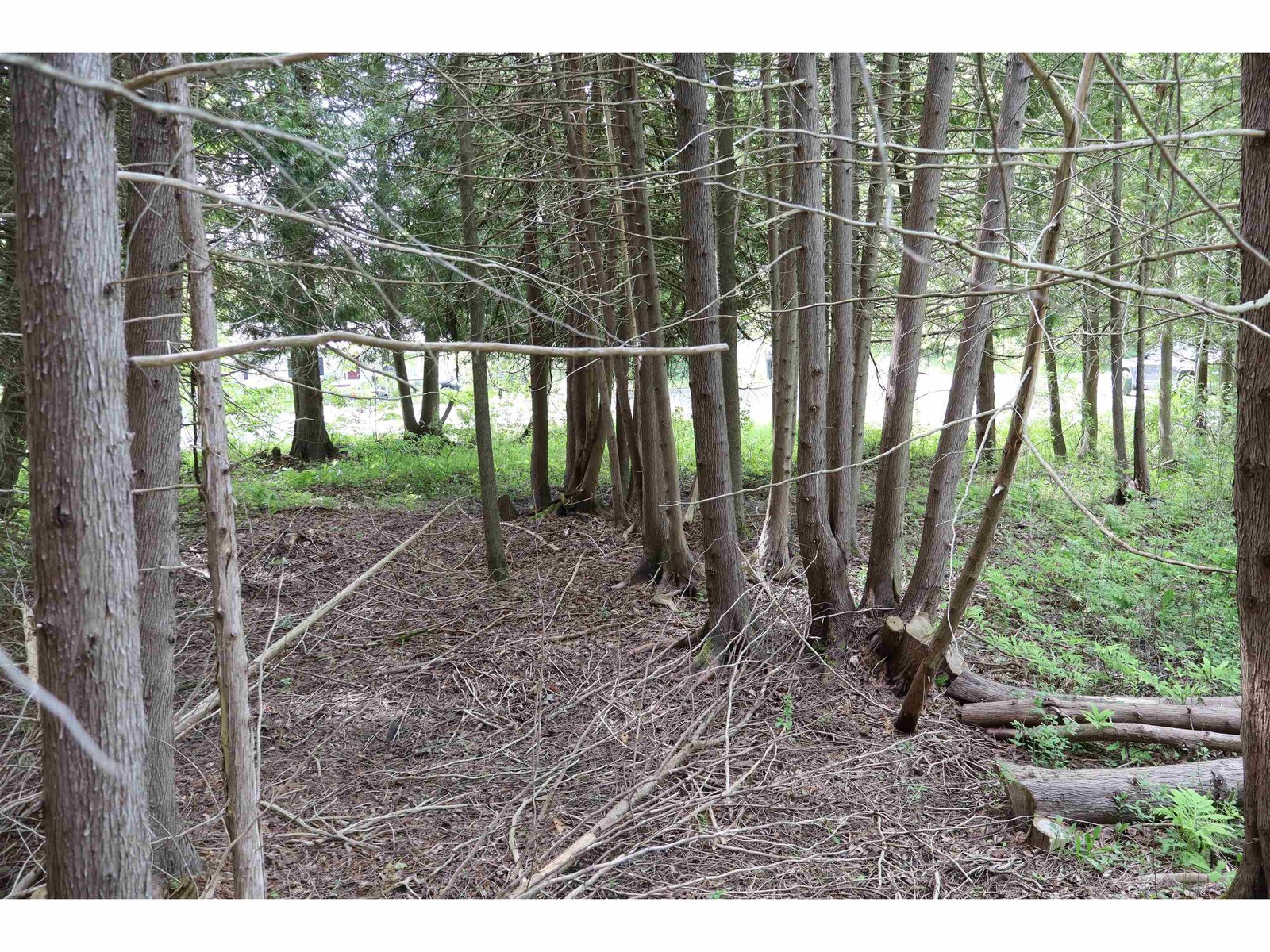8 Goldsbury Woods Road