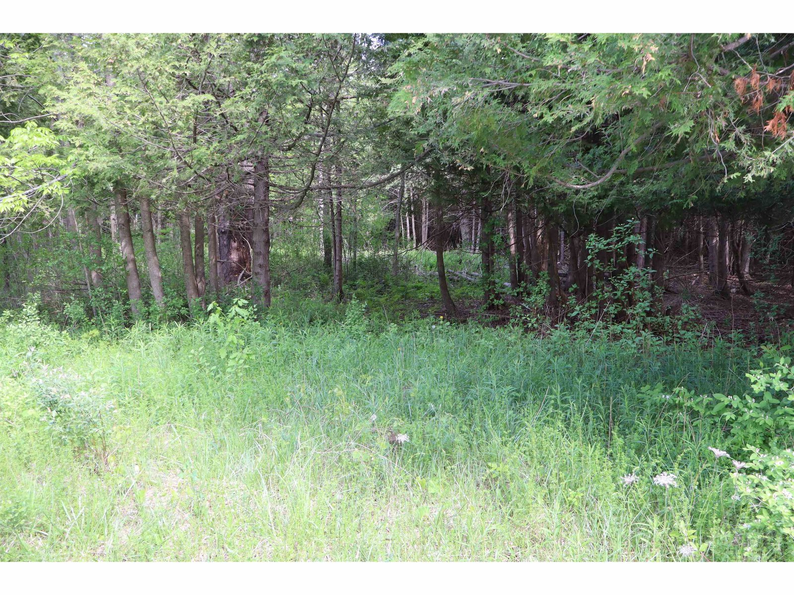 8 Goldsbury Woods Road