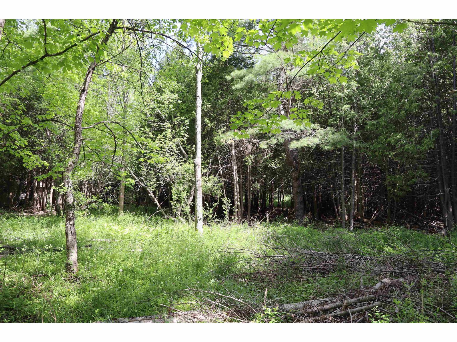 8 Goldsbury Woods Road