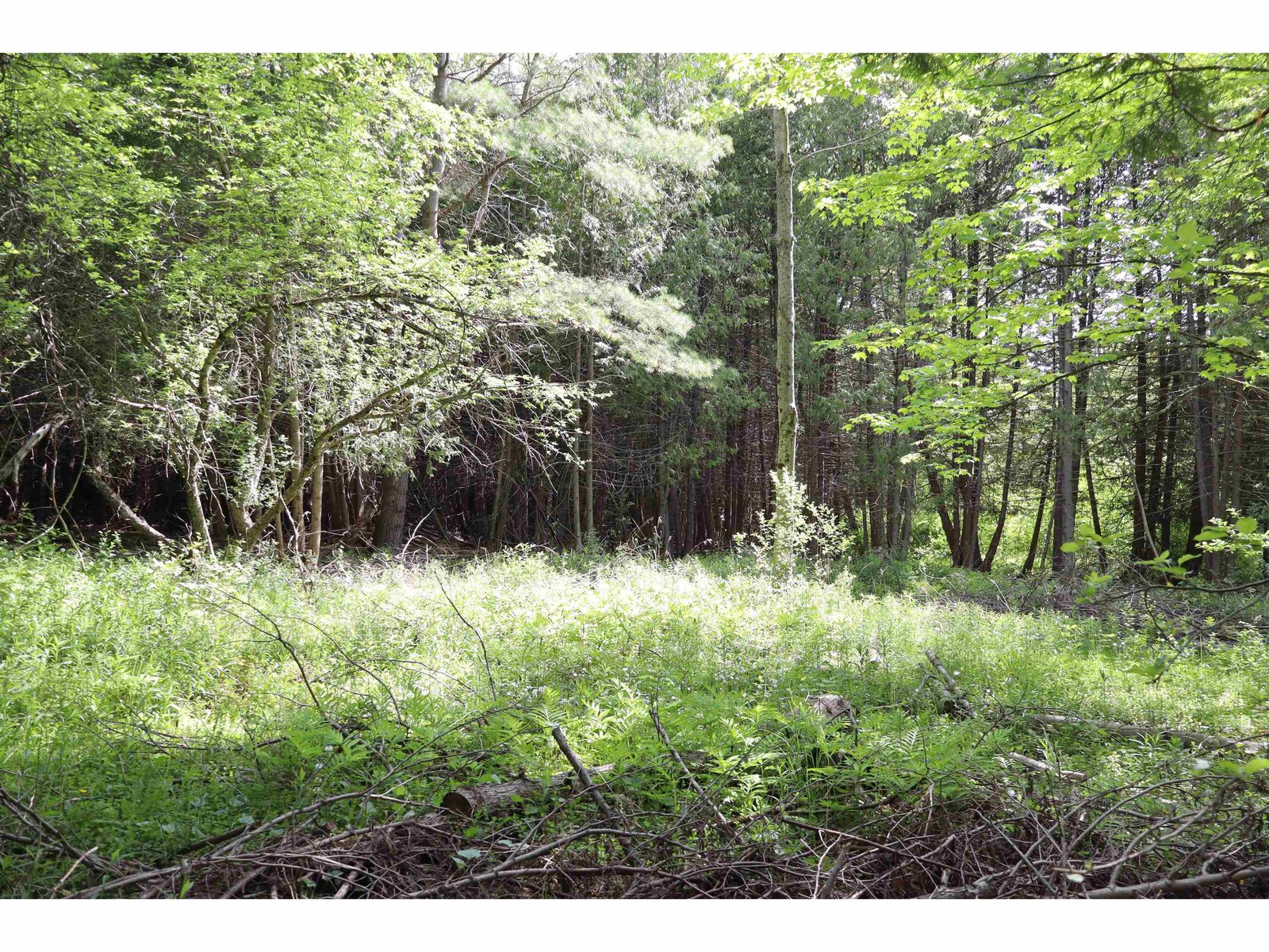 8 Goldsbury Woods Road
