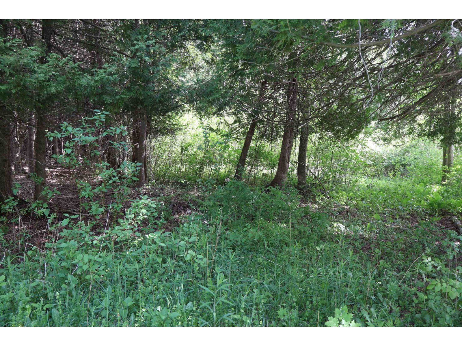 8 Goldsbury Woods Road