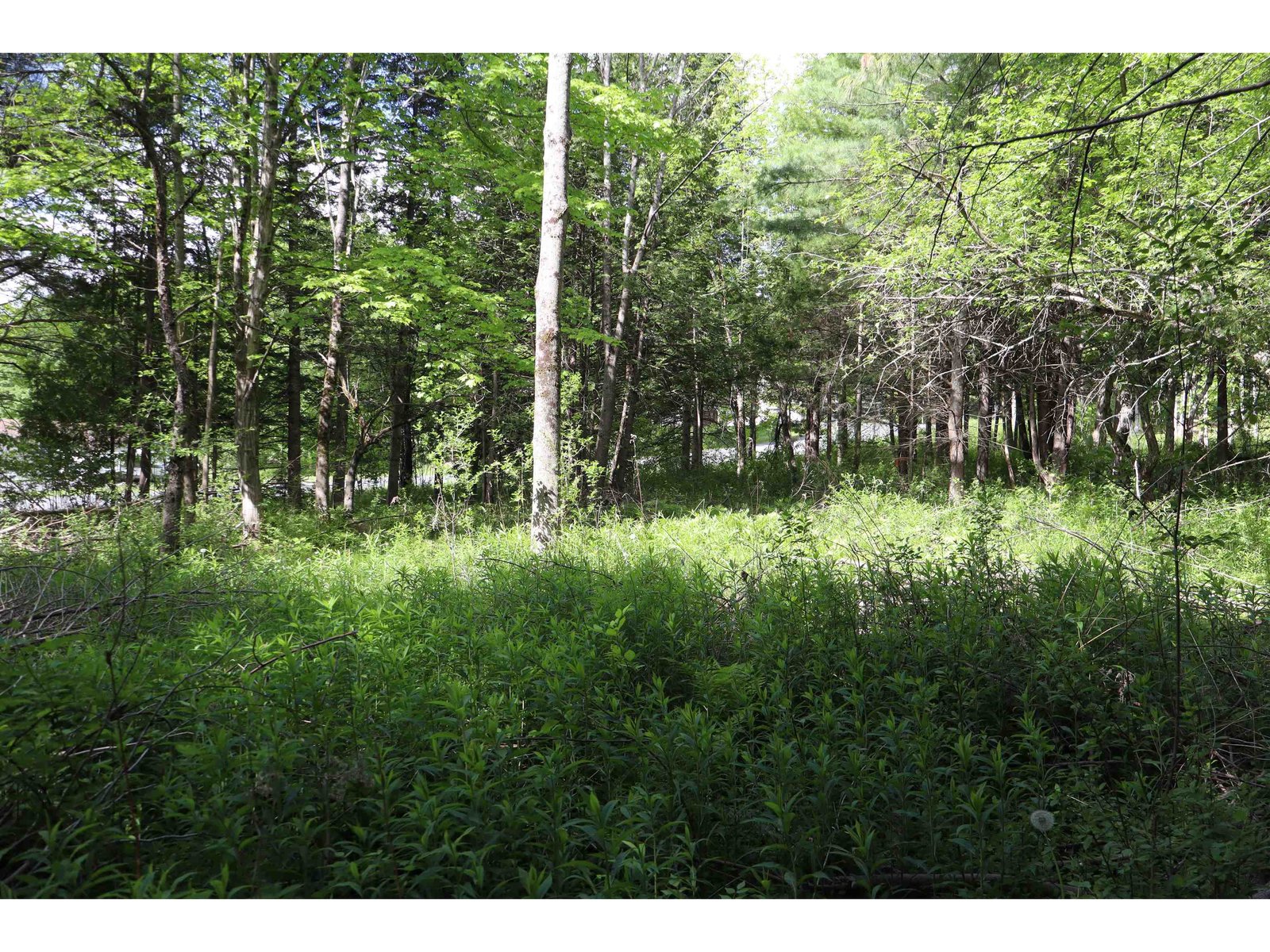 8 Goldsbury Woods Road