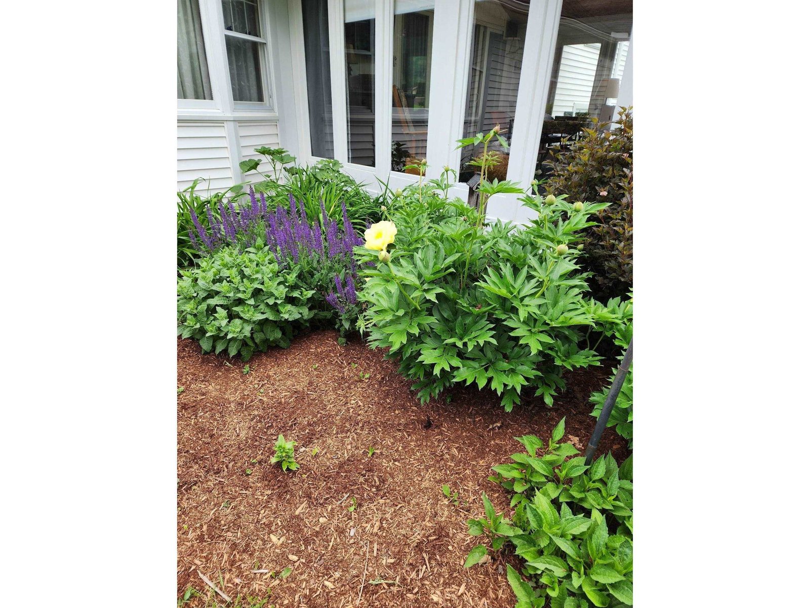 8 Green Meadow Acres
